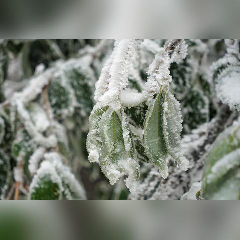 湖南长沙天气15天情况与张家界旅游攻略，出行前必看指南