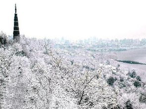 寒潮席卷南方，贵州、湖南、江西拉响暴雪预警，多地迎今冬最强降雪