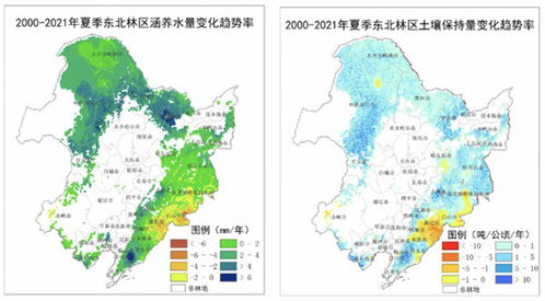 梵净山天气预报，云端之上的气候密码与旅行指南
