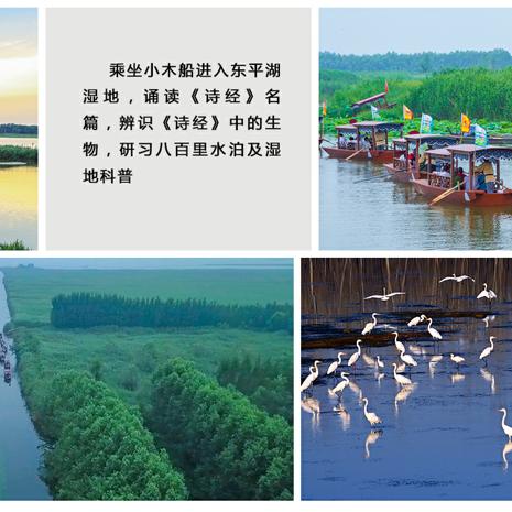 东平天气预报，水韵之城的天气密码与生活指南