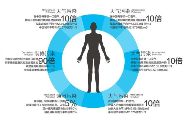 看不见的生命线—空气质量如何悄然改变你的健康与生活