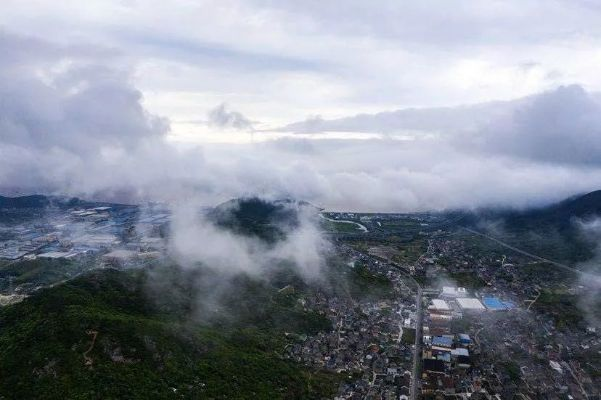 瑞安天气，雾锁云江，雨润山海