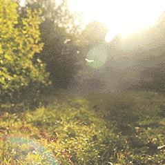 十堰天气预报,一周天气展望与生活出行指南 十堰天气预报,一周天气展望与生活出行指南