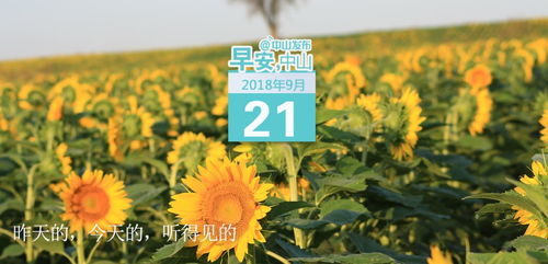 广东明天降温，一场久违的秋意正在派送