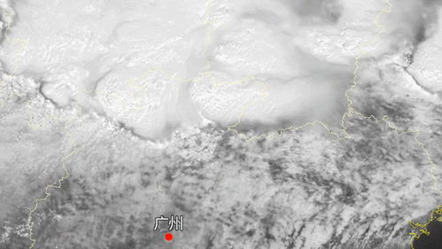 滨州天气预报15天，掌握天气脉动，从容规划生活