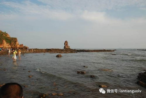 指尖上的碧海蓝天,下载青岛天气预报,开启你的山海之旅 指尖上的碧海蓝天,下载青岛天气预报,开启你的山海之旅