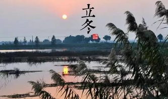 滨州天气，黄河岸边的四季变奏曲