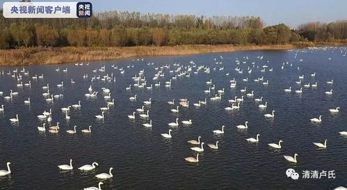滨州天气,黄河岸边的四季变奏曲 滨州天气,黄河岸边的四季变奏曲
