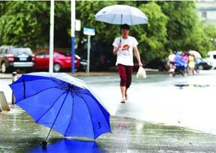 沈阳一周天气变幻莫测，市民出行需备好雨具与防晒装备